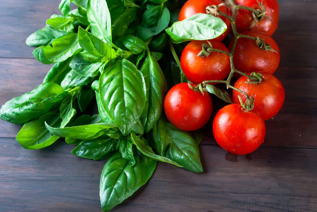 basil and tomato companion planting