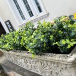 faux artificial boxwood plants for outdoor planters