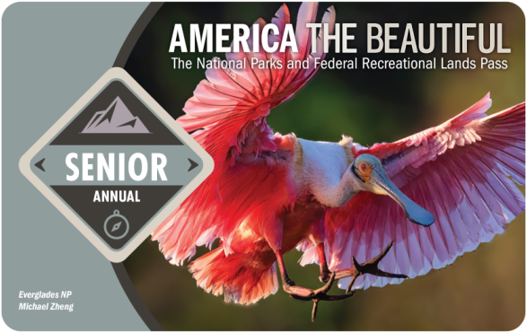 America the Beautiful Senior Annual Pass