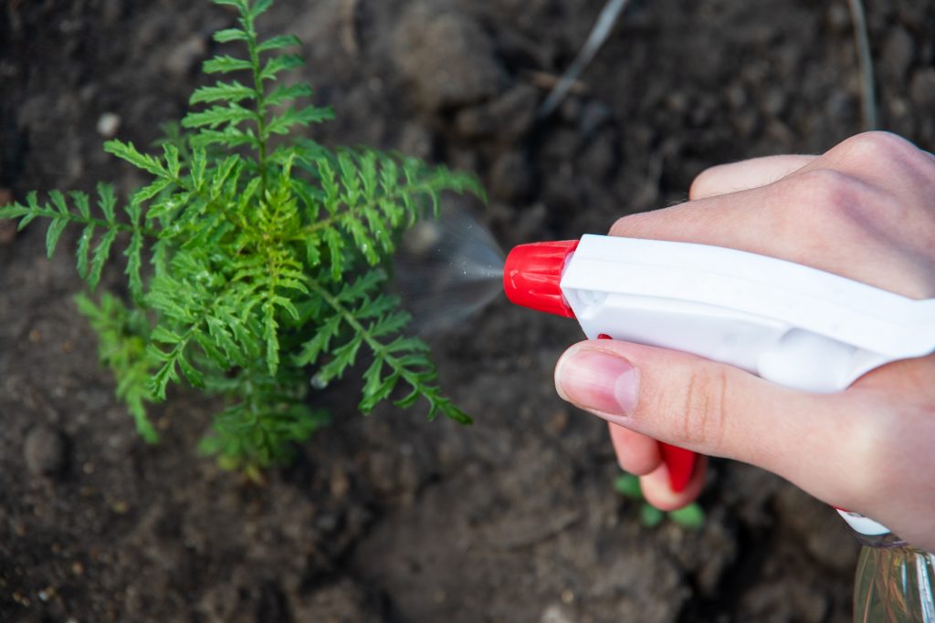 DIY Natural Weed Killer
