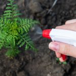 DIY Natural Weed Killer