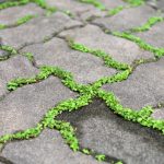 6 Ways to Get Rid of Weeds in Driveway Cracks